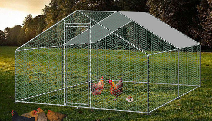 Pet Supplies