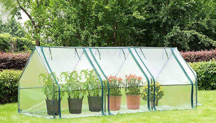 Home and Garden
