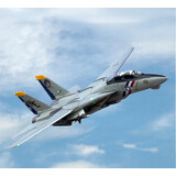 Freewing RC Plane F-14 Tomcat Twin 80mm EDF PNP Jet EPO Airplane Model