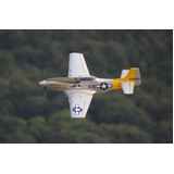 FlightLine P-51D Mustang 850mm (33") Wingspan PNP EPO RC Plane Airplane RC Model